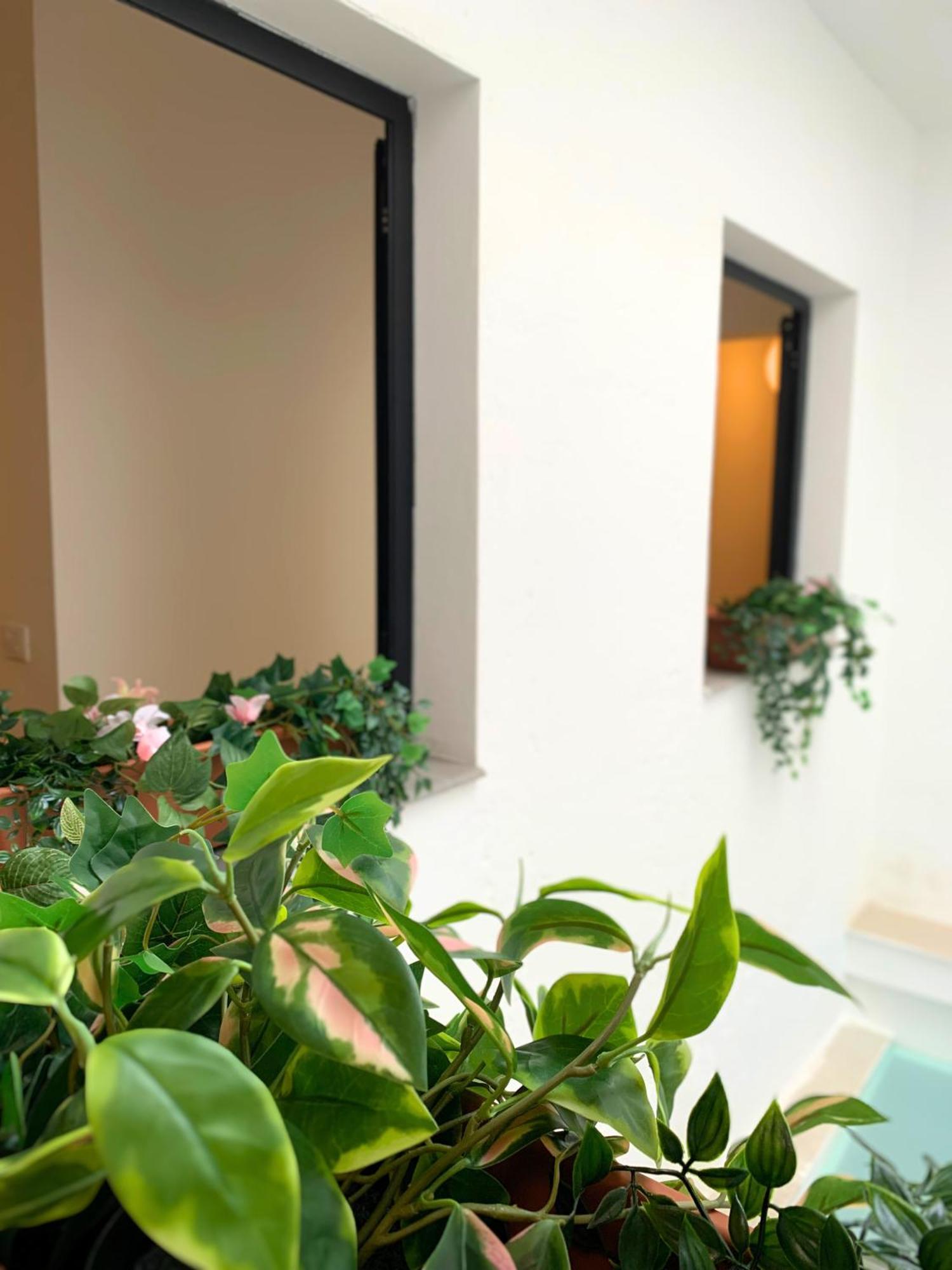 Nordic! 1 Bedroom Apartment Puerto de la Cruz  Exterior photo